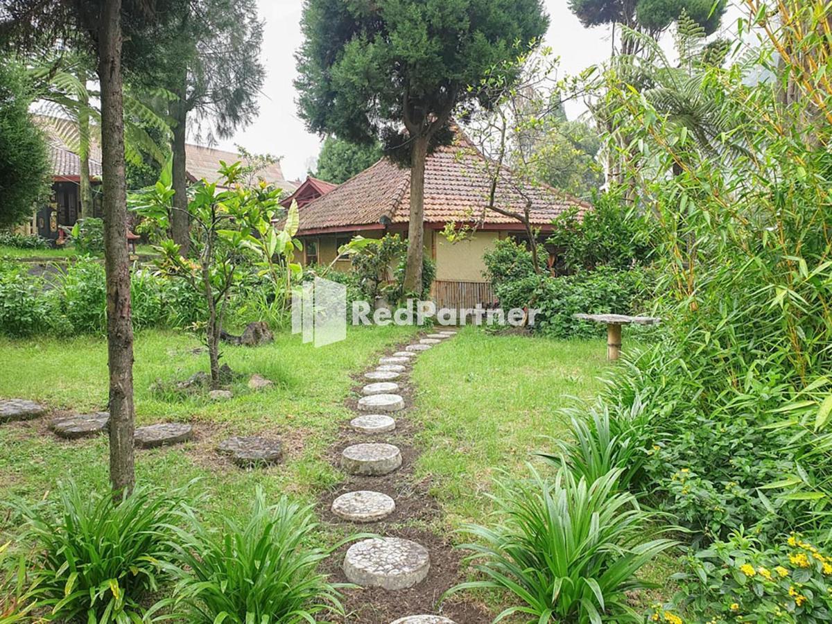 Hotel Yoschi'S Bromo At Desa Wisata Bromo Ngadisari Exterior photo